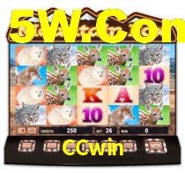 CCwin,CCwin.Com